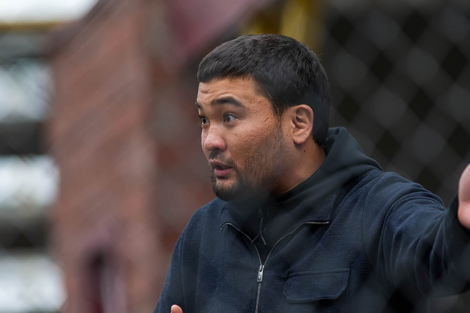 IMG 8242